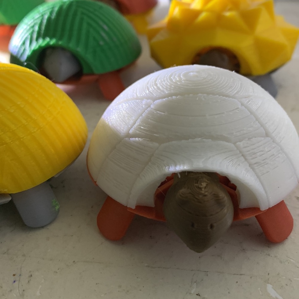 Jacobstanton 3D Print Turtles - Picture 2 of 3